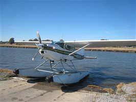 1981 Cessna 185 A185F Skywagon