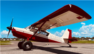 2004 American Champion 8-GCBC Scout Aircraft