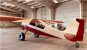 2004 American Champion 8-GCBC Scout Aircraft