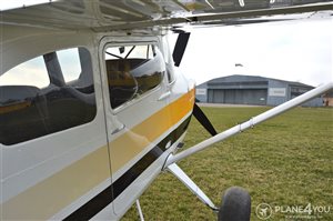 1958 Cessna 180 PERFECT